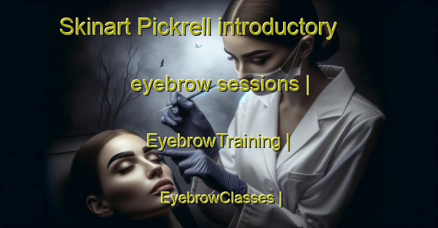 Skinart Pickrell introductory eyebrow sessions | EyebrowTraining | EyebrowClasses | SkinartTraining-United States